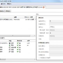 实用软件《MKVToolNix 53.0》 视频字幕处理工具推荐